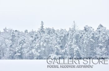 Katarzyna Dziemidowicz-Zima / fotografia-Fotografia