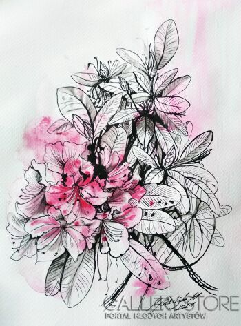 Katarzyna Kabzińska-Masionek-Rododendrony (z serii "Kwiaty")-Rysunek