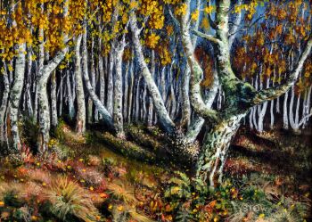 Kazimierz Pańszczyk-Brzozy-Malarstwo