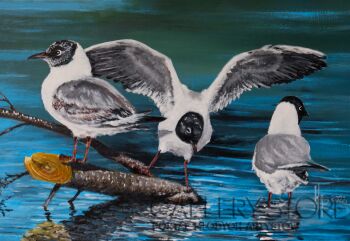 Kazimierz Pańszczyk-Rybitwy-Malarstwo