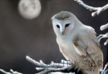 Kazimierz Pańszczyk-Zimowa Płomykówka-Malarstwo