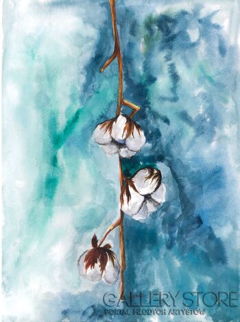 Klaudia Streich-Kwiat bawełny-Akwarela