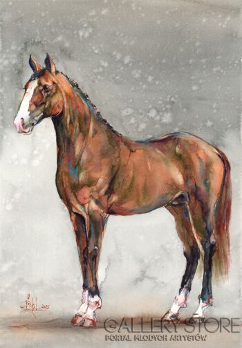 Klaudiusz Pohl-Kasztan-Malarstwo