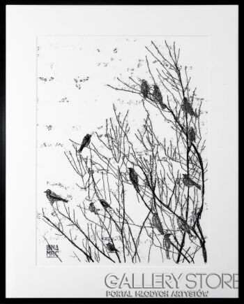 Lena Marc-Ptaki II-Grafiki i plakaty