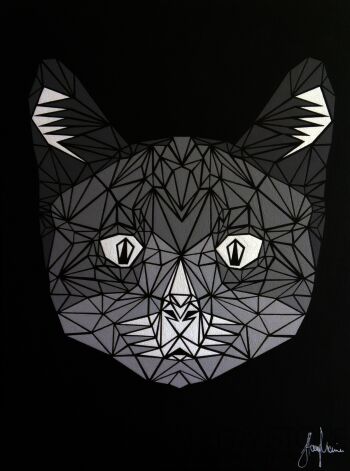 Marcin Stawny-CAT-Akryl