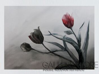 Maria Lewicka-Woźniak-tulipany 1-Akwarela