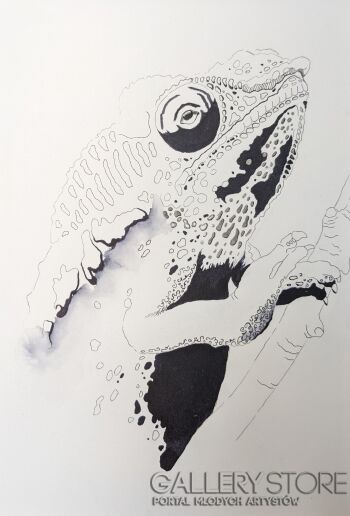 Oksana Hamza-kameleon-Grafika