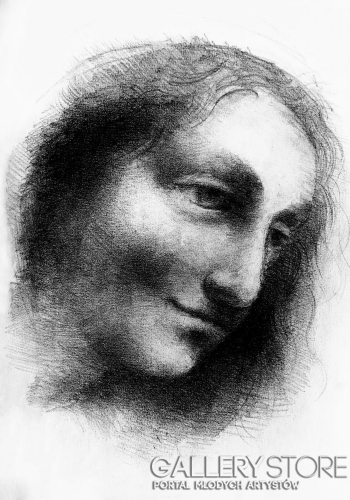 Szkic według Da Vinci