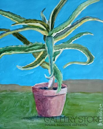 Piotr Smogór-aloes-Malarstwo