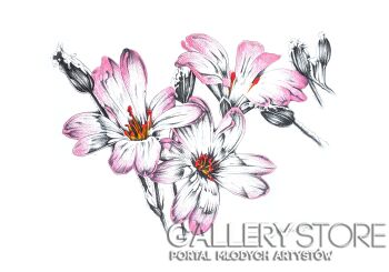 Rafał Kulik-Kwiaty polne - studium detalu nr 3-Rysunek