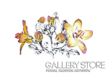 Rafał Kulik-Kwiaty polne - studium detalu nr 4-Rysunek