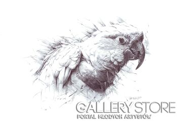 Rafał Kulik-Papuga, studium detalu-Rysunek