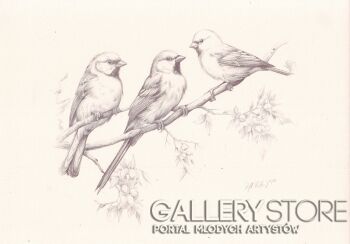 Rafał Kulik-Ptaki odpoczywające, beżowy papier - studium detalu-Rysunek