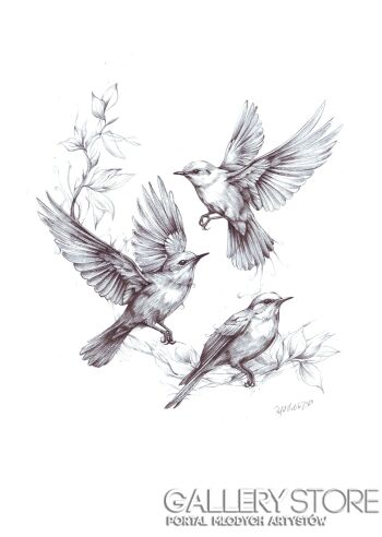 Rafał Kulik-Ptaki, wróble - studium detalu-Rysunek