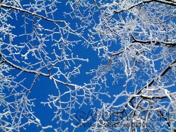 Raffaello Torres-ahh polish winter-Fotografia