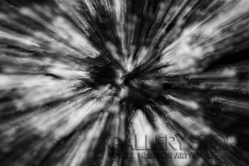 Robert Kozakiewicz-Wierzba-Fotografia