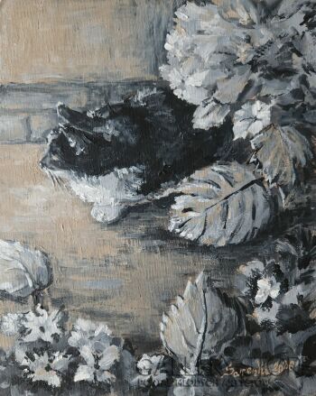 Sara Domeracka-Kot w hortensjach-Malarstwo