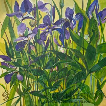 Sylwia Mirowska-Irysy -Malarstwo