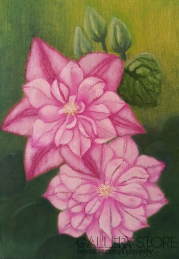 Teresa Sacharczuk-Clematis l-Malarstwo