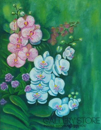 Teresa Sacharczuk-Orchidea azaliowa i biała-Malarstwo