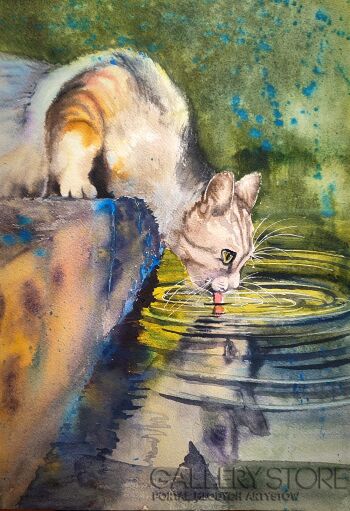 Wioletta Ustyjańczuk-Kot pijący wodę-Akwarela