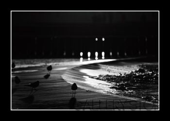Wojciech Wrzesień-BAŁTYCKIE SPOTKANIA-Fotografia