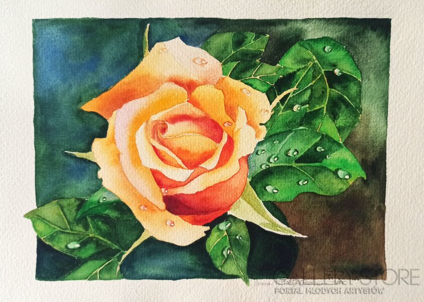 Anna Masiul-Gozdecka-Herbaciana Róża-Malarstwo