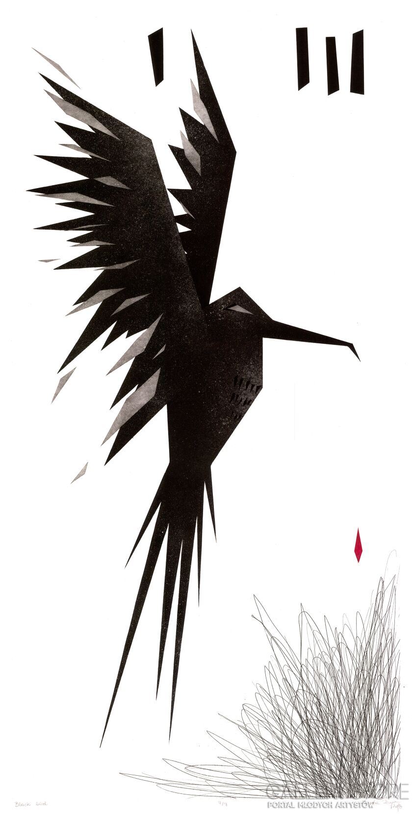 Żaneta  Rzepa-Black bird-Grafika