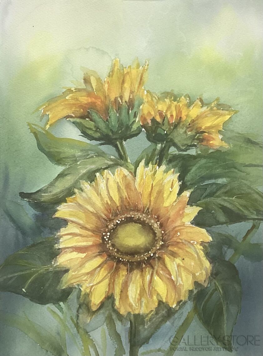 Bożenna Niewinowska-Sunflowers -Akwarela