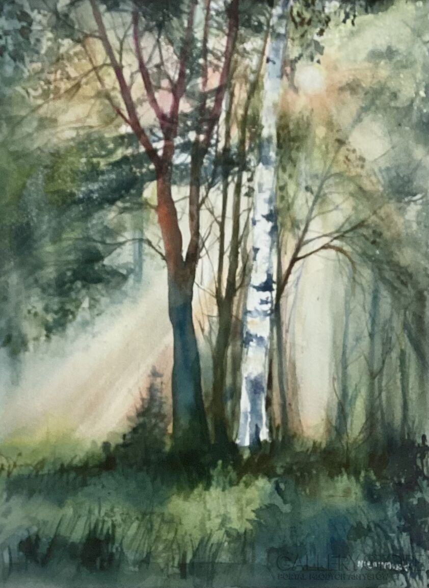 Bożenna Niewinowska-Słonecznie w lesie-Malarstwo