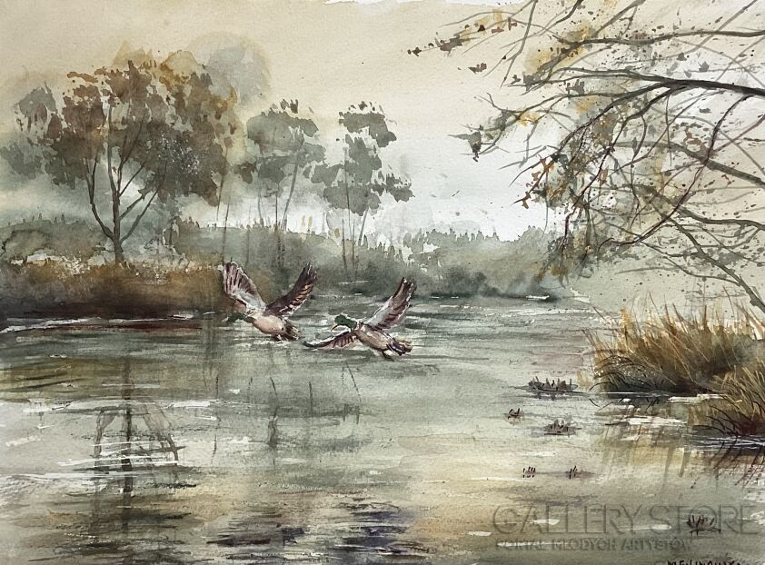 Bożenna Niewinowska-Poranne kaczki-Malarstwo