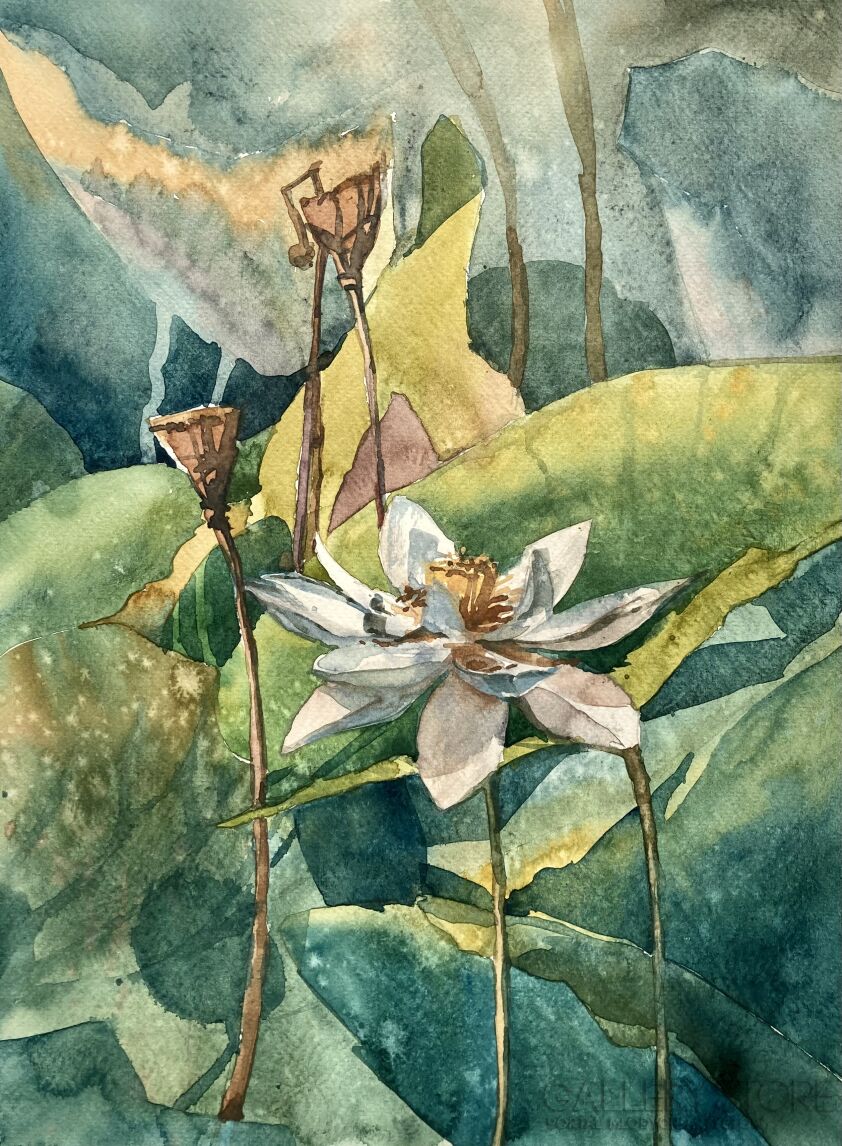 Blanka Pisarczyk-Spokój wśród lilii-Malarstwo