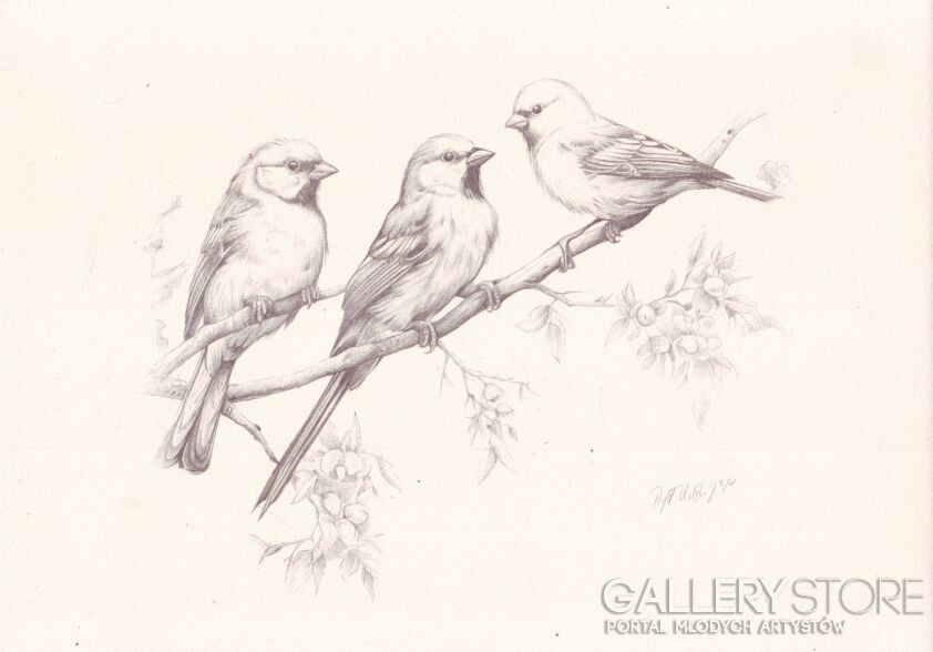 Rafał Kulik-Ptaki odpoczywające, beżowy papier - studium detalu-Rysunek