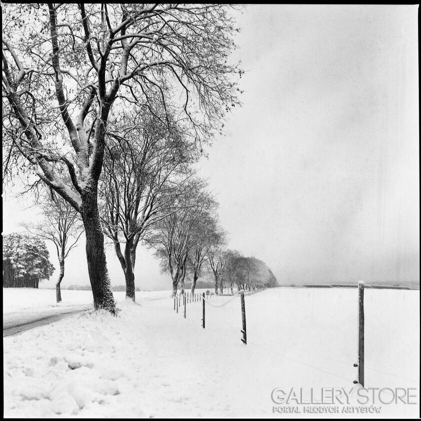 Jacek Gąsiorowski-Krajobraz Zimowy 2025 #1-Fotografia