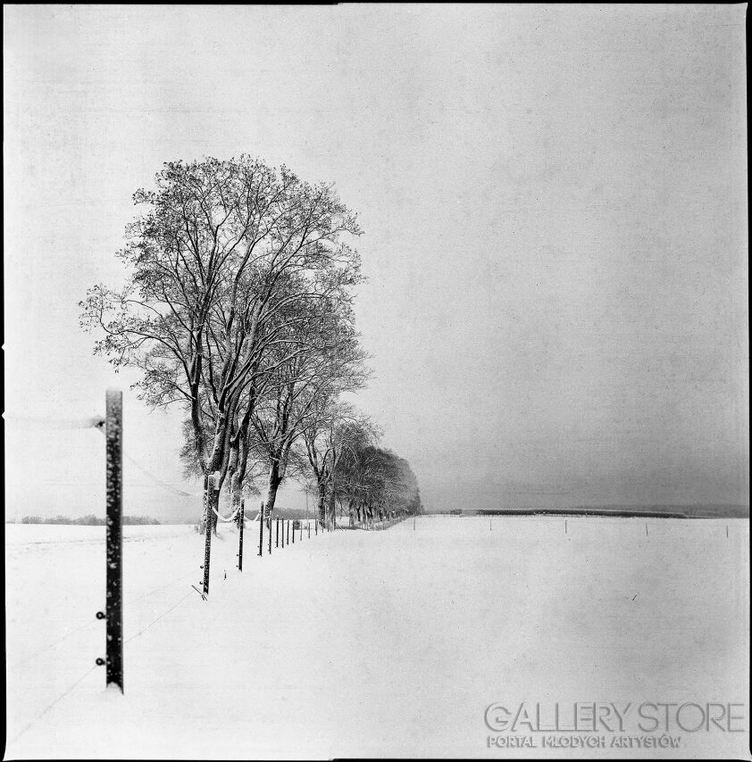 Jacek Gąsiorowski-Krajobraz Zimowy 2025 #2-Fotografia