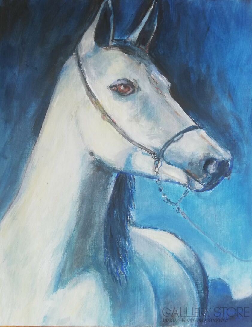 Bożena Hoffmann-Portret konia-Malarstwo