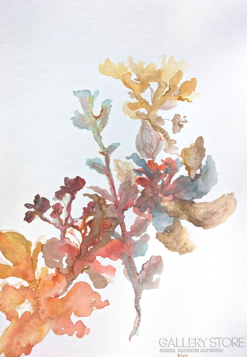 Aleksandra Kożuch-Sakura -Rysunek