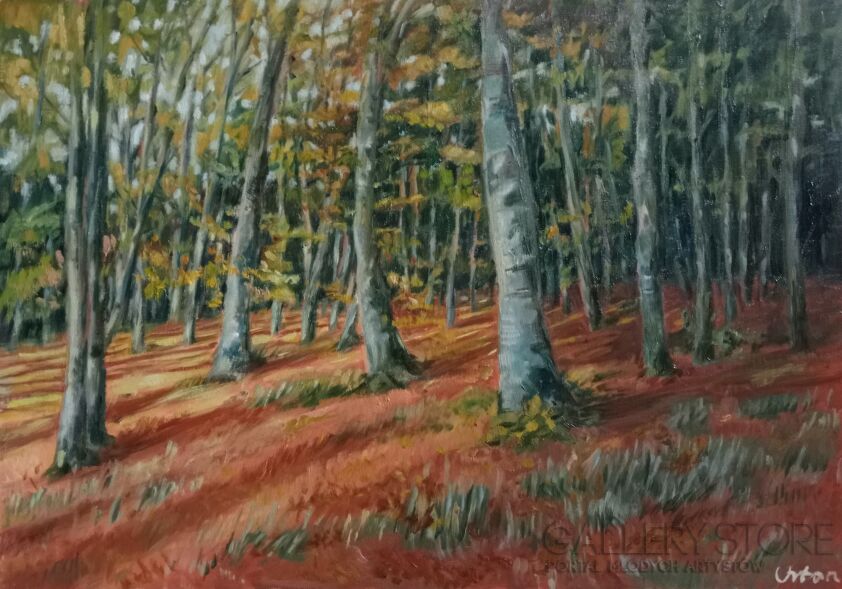 Agata Urban-Las Pomorski IV. Golden hour-Malarstwo