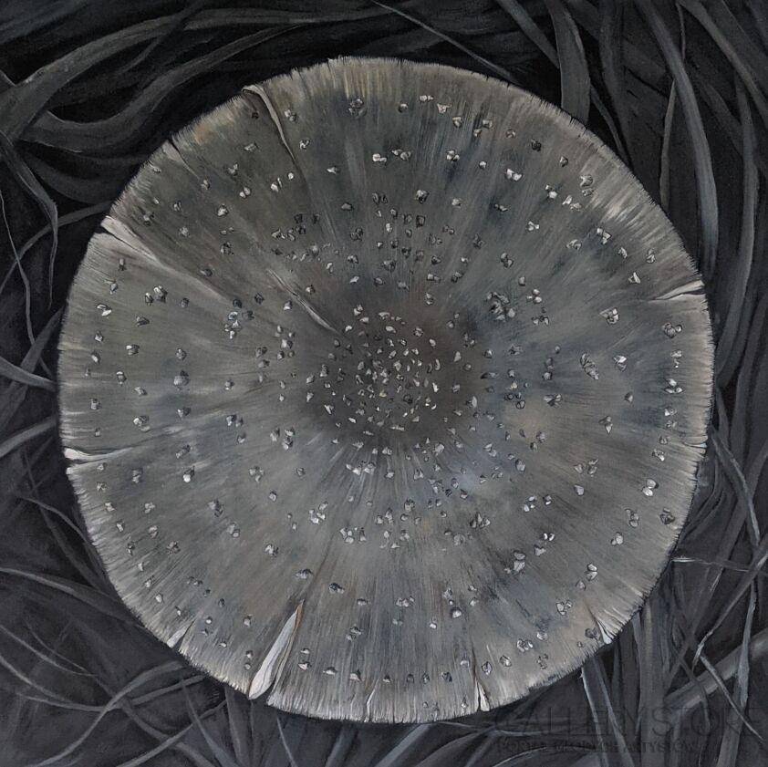 Marlena Mosior-Grzybobranie 2-Malarstwo