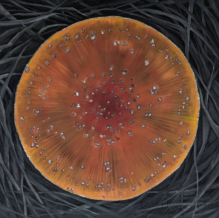 Marlena Mosior-Grzybobranie 3-Malarstwo