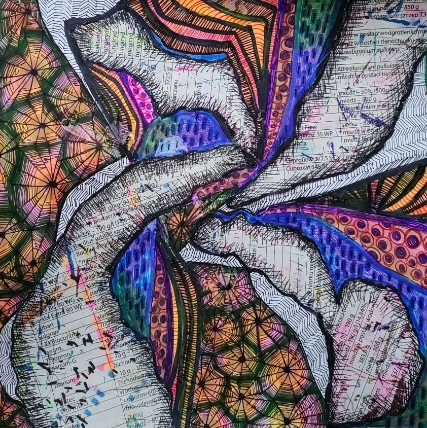 Joanna Frączyk-Fragmenty dryfujące-Rysunek