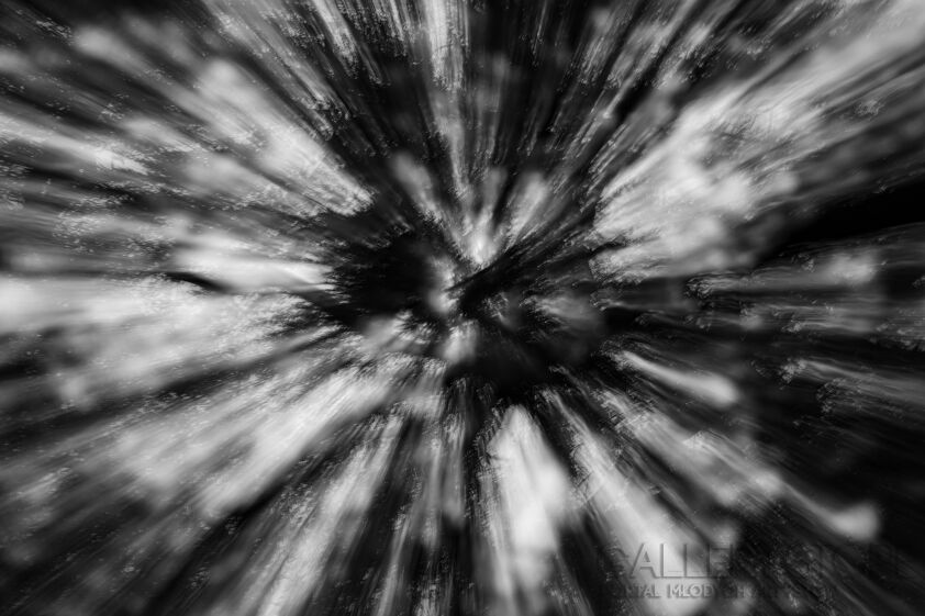 Robert Kozakiewicz-Wierzba-Fotografia