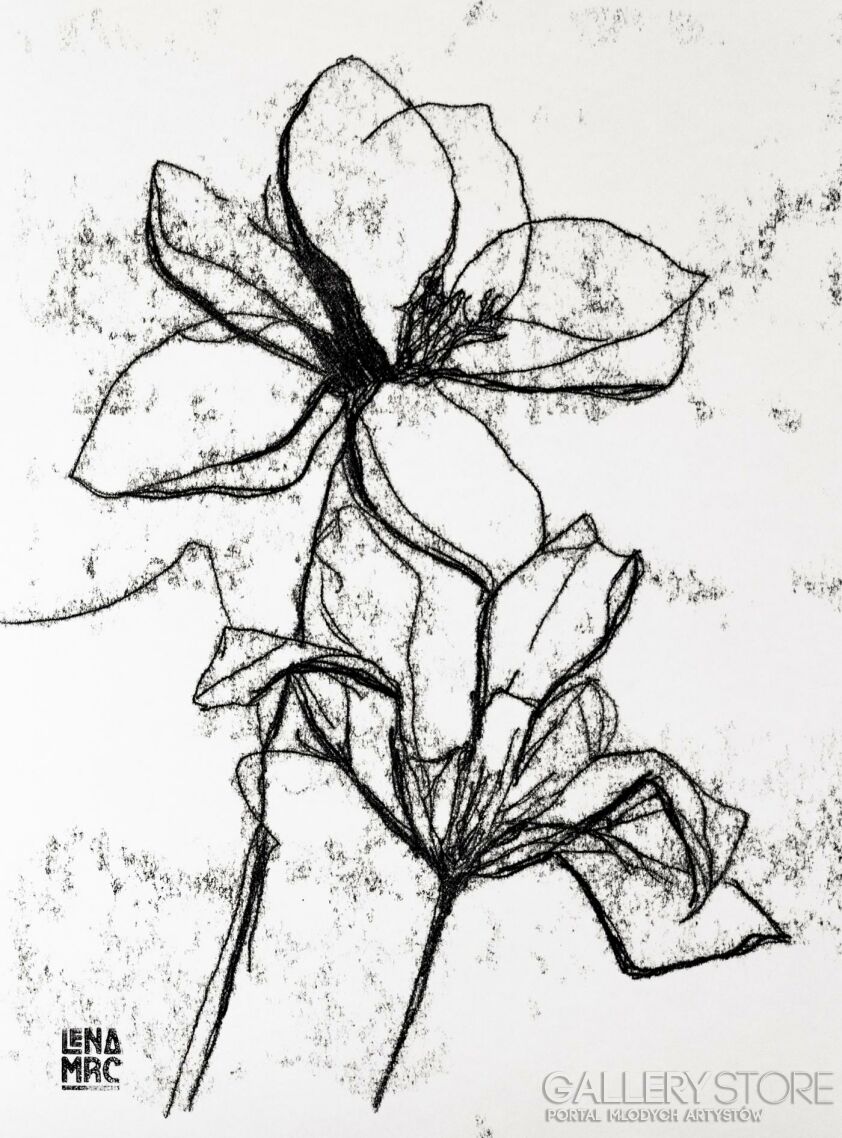 Lena Marc-Kwiaty sekretu-Grafiki i plakaty