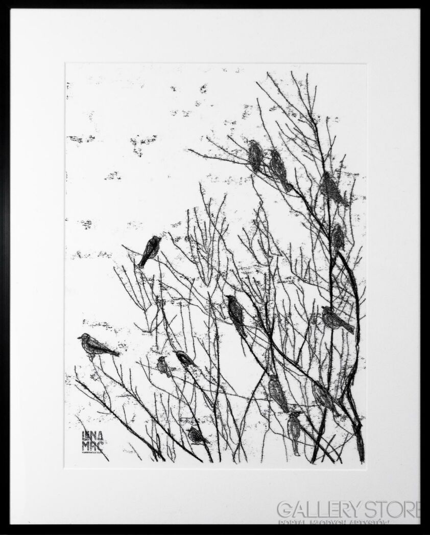 Lena Marc-Ptaki II-Grafiki i plakaty