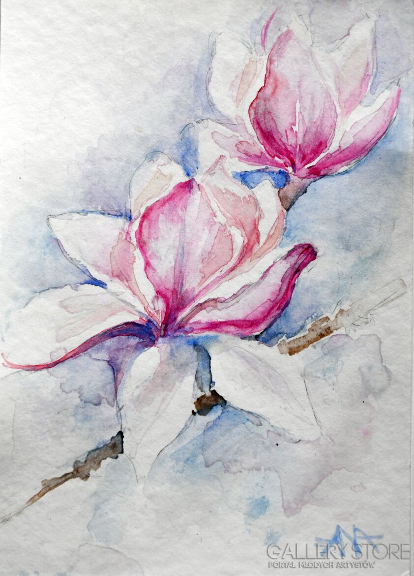 Ana Smarż-Wiosenne magnolie.-Akwarela