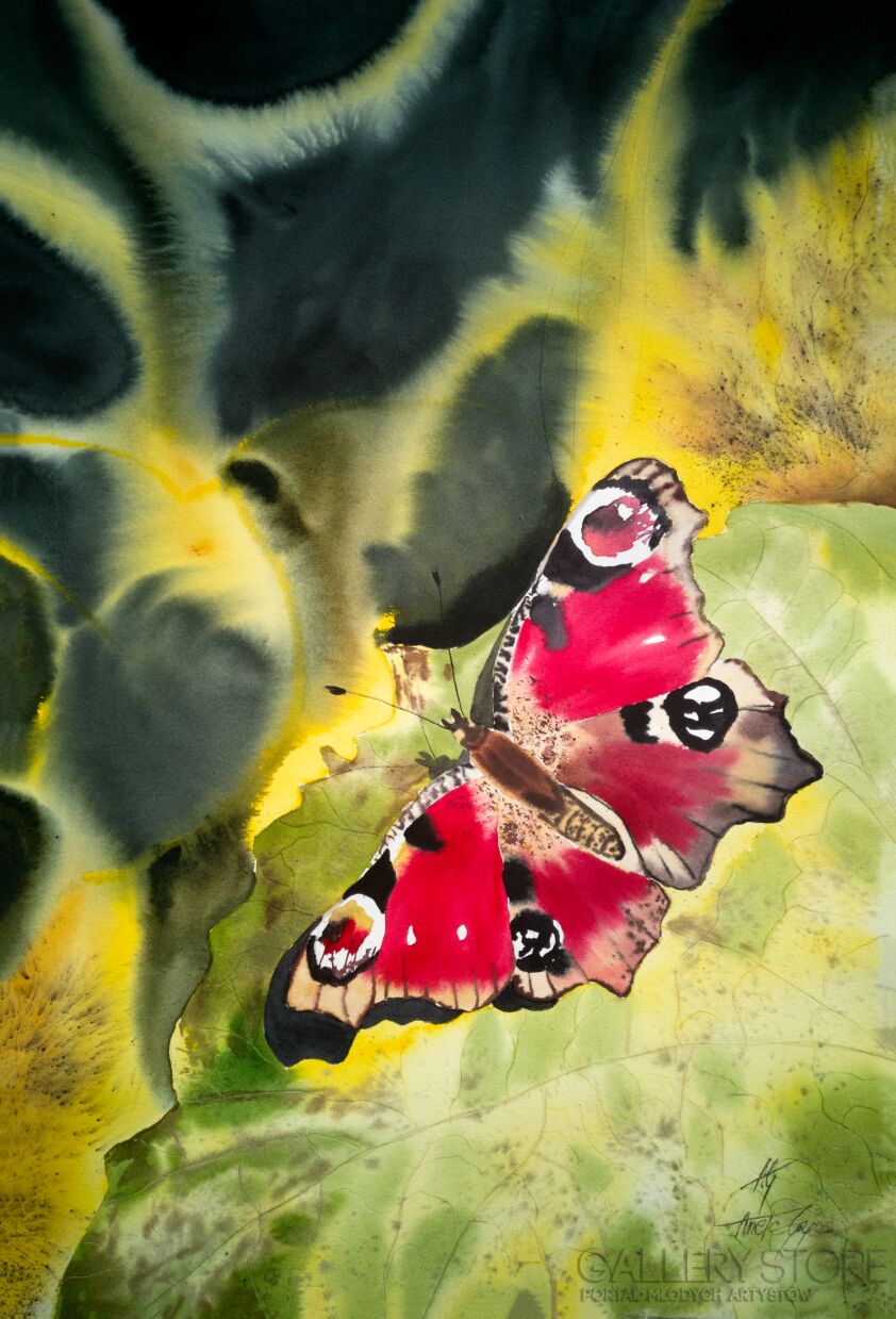Aneta Gajos-Autumn Butterfly 2-Akwarela