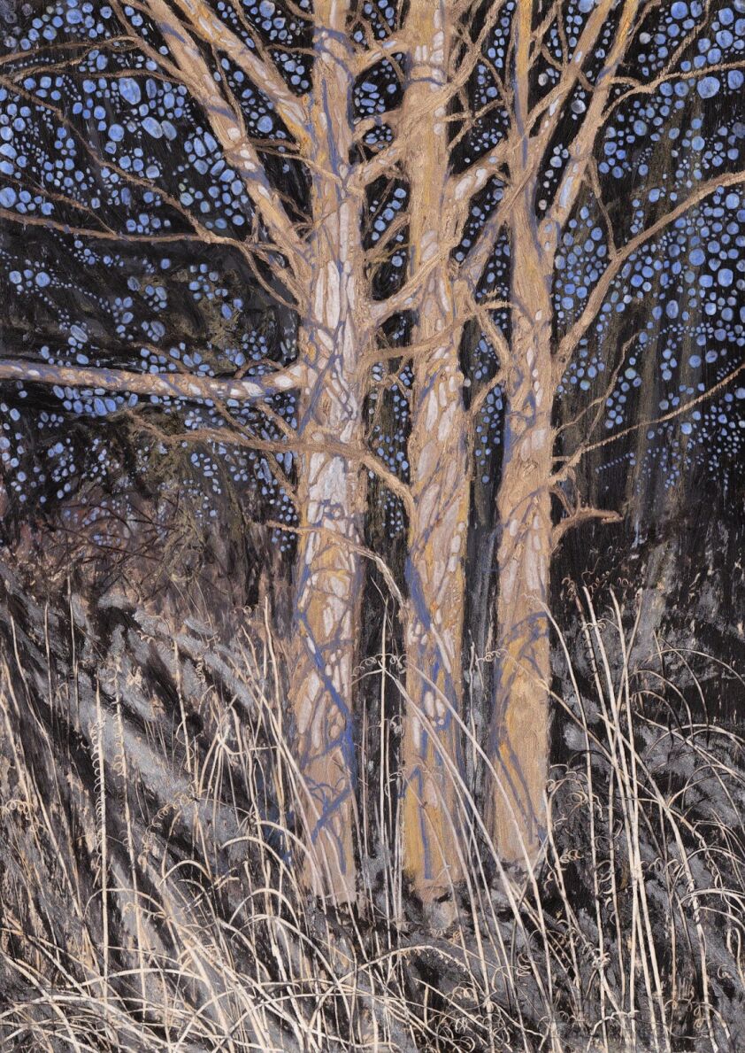 Angelika Mus-Nowak-Drzewa ubrane w cienie swoich gałązek-Rysunek
