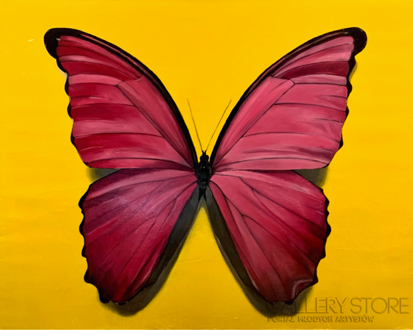 Daga Badecka-Różowy motyl na żółtym tle -Olej