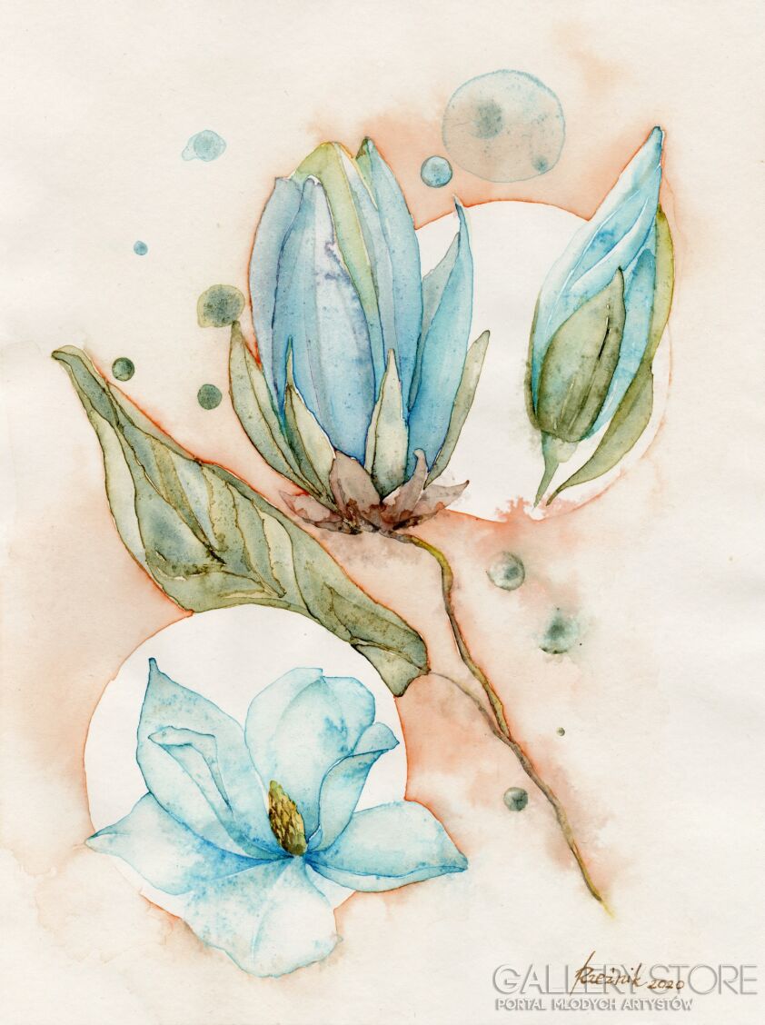 Joanna Rzeźnik-Błękitna magnolia - kompozycja nr 1-Akwarela