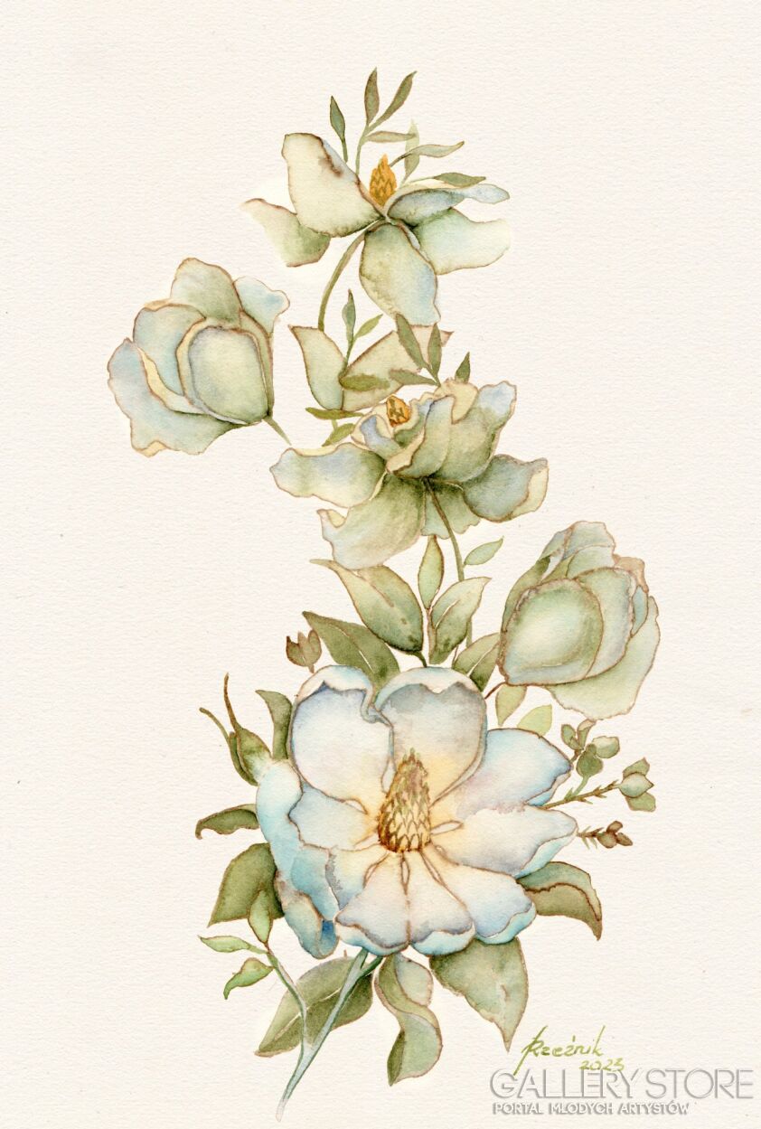 Joanna Rzeźnik-Gałązka magnolii I-Akwarela
